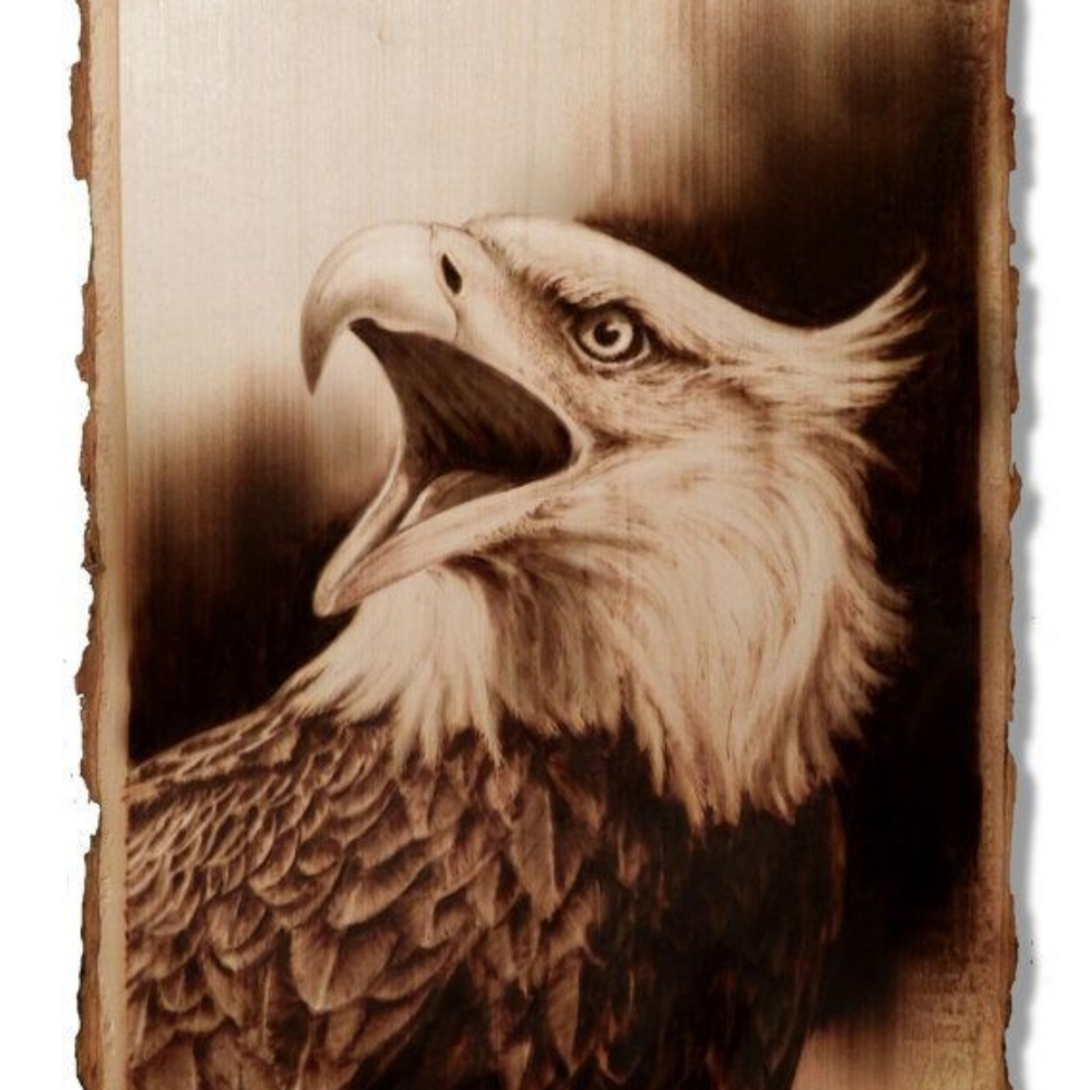 pyrography eagle